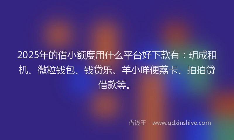 2025年的借小额度用什么平台好下款有：玥成租机、微粒钱包、钱贷乐、羊小咩便荔卡、拍拍贷借款等。
