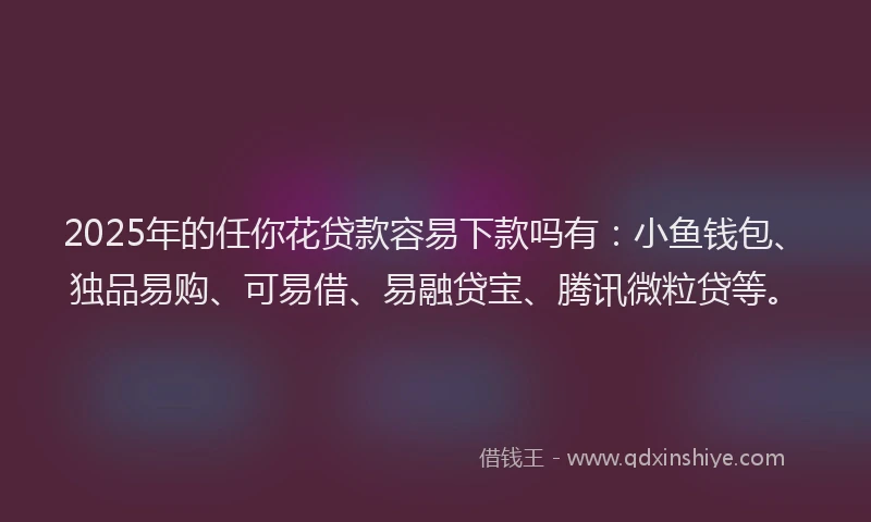 2025年的任你花贷款容易下款吗有：小鱼钱包、独品易购、可易借、易融贷宝、腾讯微粒贷等。