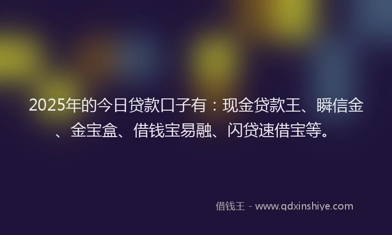 2025年的今日贷款口子有：现金贷款王、瞬信金、金宝盒、借钱宝易融、闪贷速借宝等。