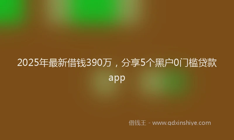 2025年最新借钱390万，分享5个黑户0门槛贷款app