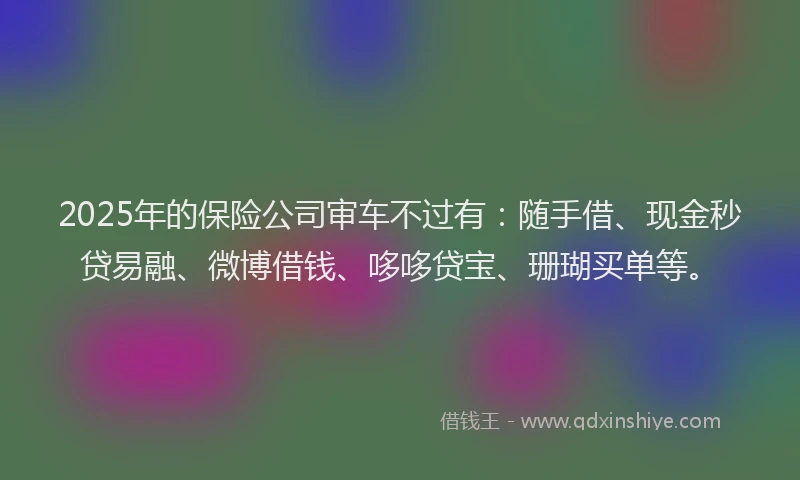2025年的保险公司审车不过有：随手借、现金秒贷易融、微博借钱、哆哆贷宝、珊瑚买单等。