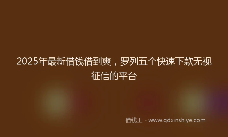 2025年最新借钱借到爽，罗列五个快速下款无视征信的平台