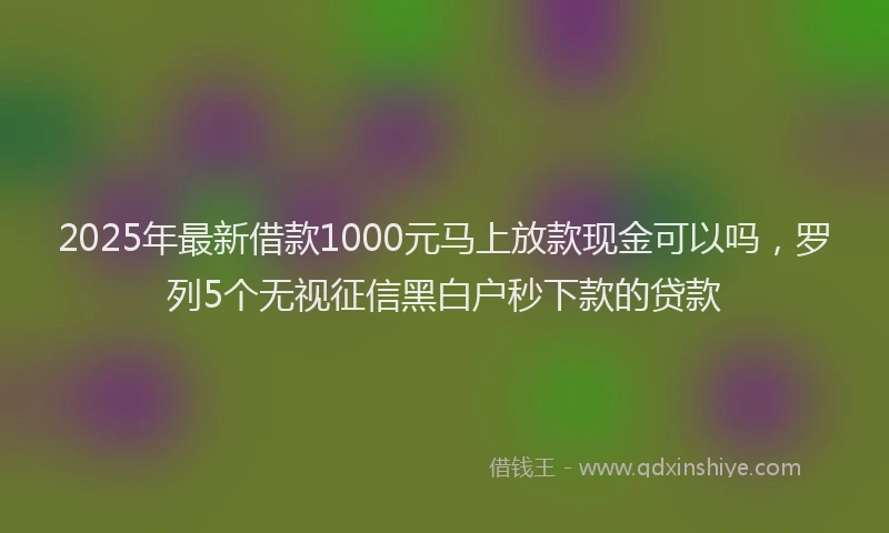 2025年最新借款1000元马上放款现金可以吗，罗列5个无视征信黑白户秒下款的贷款