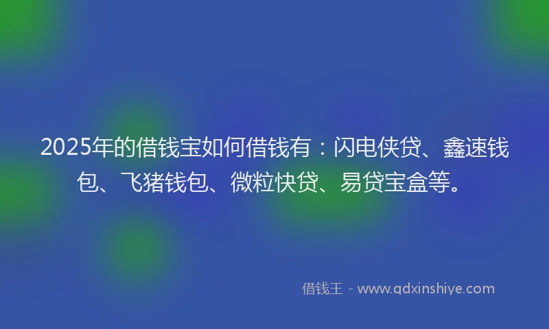 2025年的借钱宝如何借钱有：闪电侠贷、鑫速钱包、飞猪钱包、微粒快贷、易贷宝盒等。