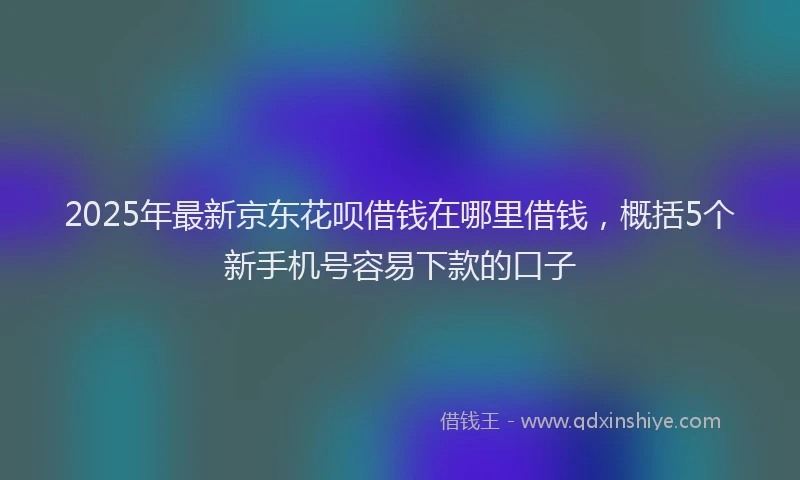 2025年最新京东花呗借钱在哪里借钱，概括5个新手机号容易下款的口子