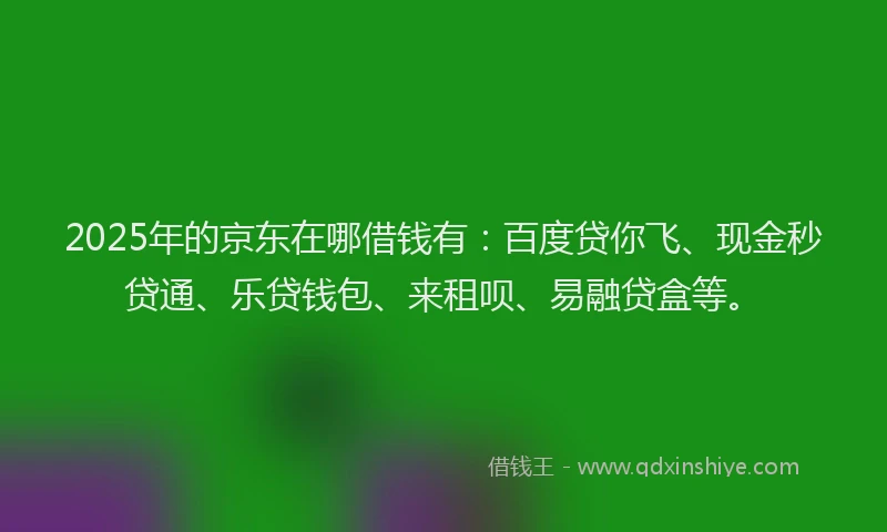 2025年的京东在哪借钱有：百度贷你飞、现金秒贷通、乐贷钱包、来租呗、易融贷盒等。