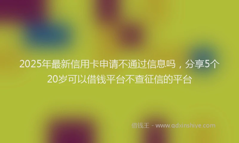2025年最新信用卡申请不通过信息吗，分享5个20岁可以借钱平台不查征信的平台