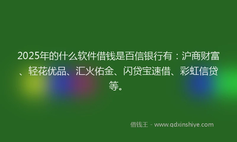 2025年的什么软件借钱是百信银行有：沪商财富、轻花优品、汇火佑金、闪贷宝速借、彩虹信贷等。
