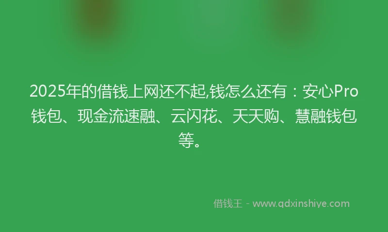 2025年的借钱上网还不起,钱怎么还有：安心Pro钱包、现金流速融、云闪花、天天购、慧融钱包等。