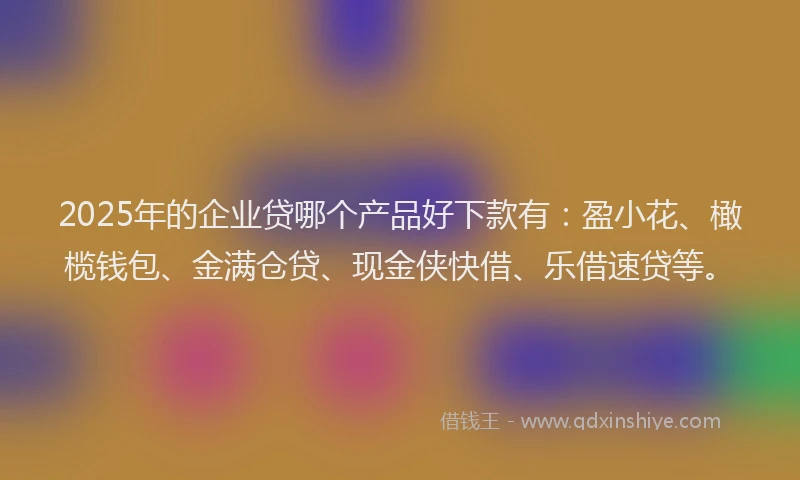 2025年的企业贷哪个产品好下款有：盈小花、橄榄钱包、金满仓贷、现金侠快借、乐借速贷等。