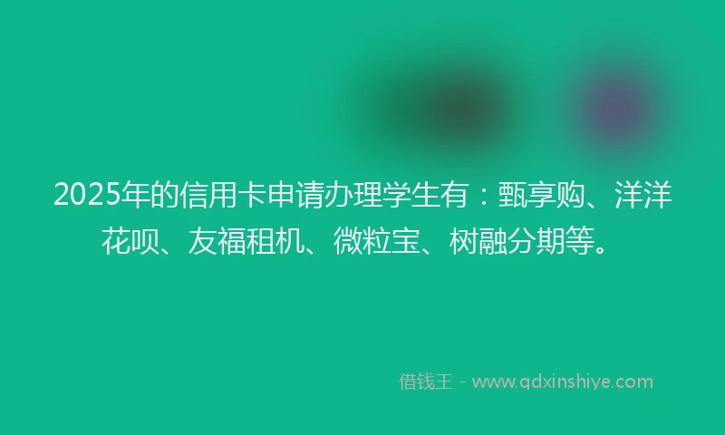 2025年的信用卡申请办理学生有：甄享购、洋洋花呗、友福租机、微粒宝、树融分期等。