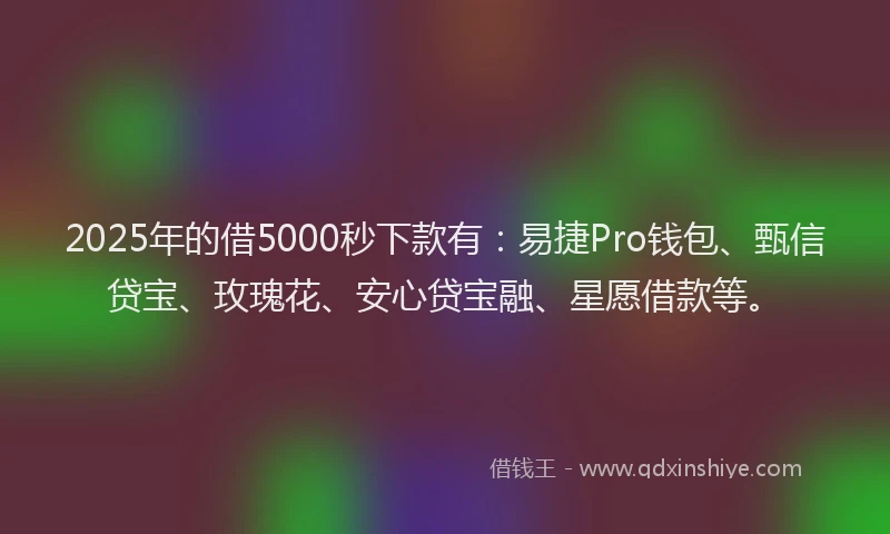 2025年的借5000秒下款有：易捷Pro钱包、甄信贷宝、玫瑰花、安心贷宝融、星愿借款等。