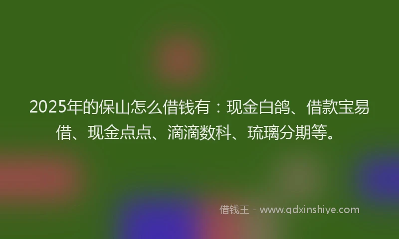2025年的保山怎么借钱有：现金白鸽、借款宝易借、现金点点、滴滴数科、琉璃分期等。