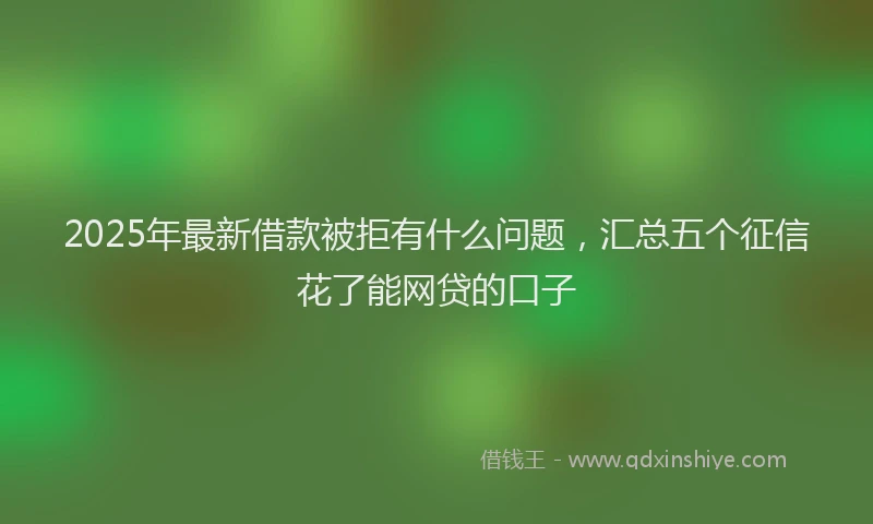 2025年最新借款被拒有什么问题，汇总五个征信花了能网贷的口子