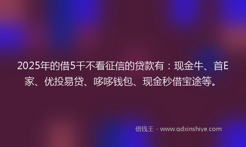 2025年的借5千不看征信的贷款有：现金牛、首E家、优投易贷、哆哆钱包、现金秒借宝途等。