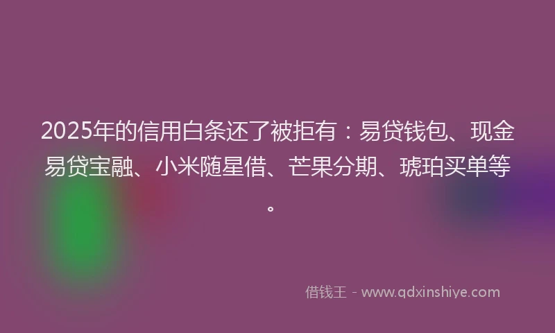 2025年的信用白条还了被拒有：易贷钱包、现金易贷宝融、小米随星借、芒果分期、琥珀买单等。
