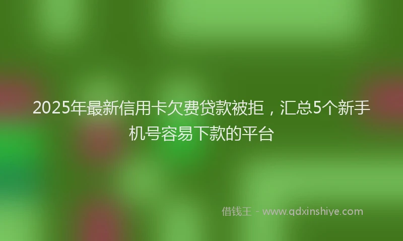 2025年最新信用卡欠费贷款被拒，汇总5个新手机号容易下款的平台