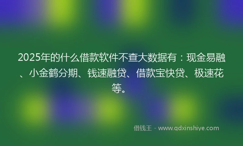 2025年的什么借款软件不查大数据有：现金易融、小金鹤分期、钱速融贷、借款宝快贷、极速花等。