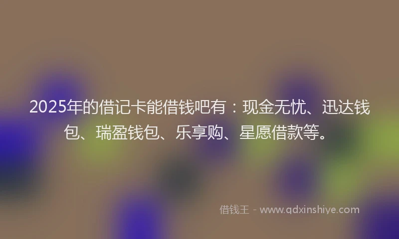 2025年的借记卡能借钱吧有：现金无忧、迅达钱包、瑞盈钱包、乐享购、星愿借款等。