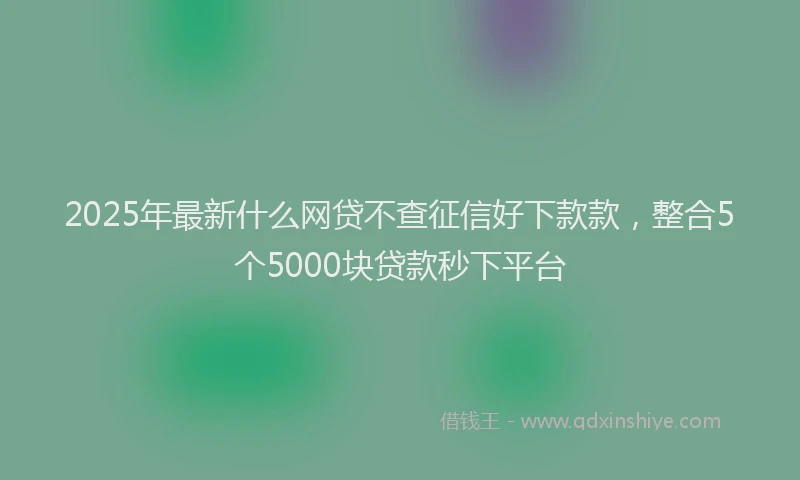 2025年最新什么网贷不查征信好下款款，整合5个5000块贷款秒下平台