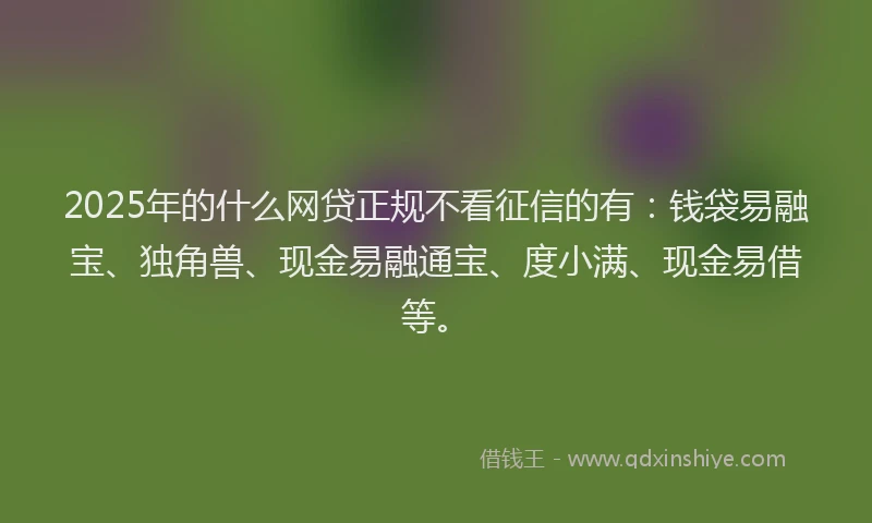 2025年的什么网贷正规不看征信的有：钱袋易融宝、独角兽、现金易融通宝、度小满、现金易借等。
