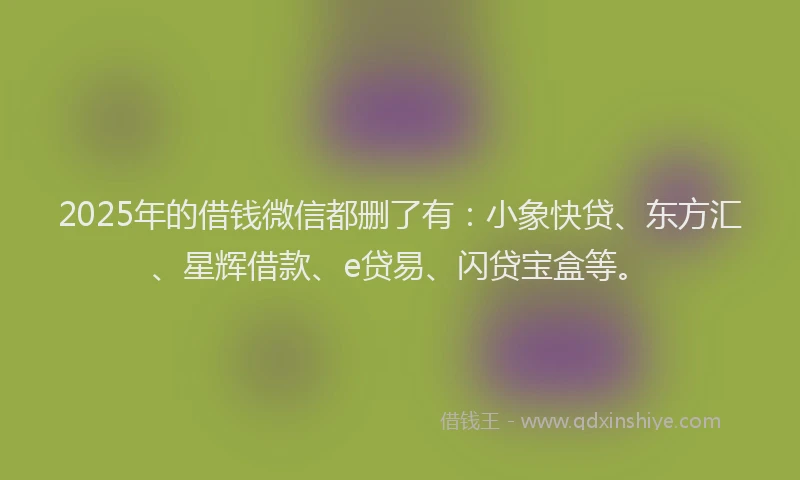 2025年的借钱微信都删了有：小象快贷、东方汇、星辉借款、e贷易、闪贷宝盒等。