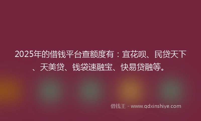 2025年的借钱平台查额度有：宜花呗、民贷天下、天美贷、钱袋速融宝、快易贷融等。