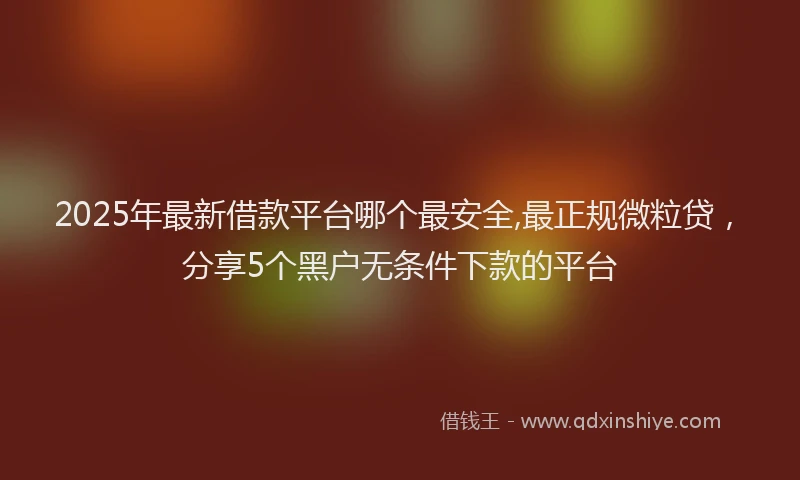 2025年最新借款平台哪个最安全,最正规微粒贷，分享5个黑户无条件下款的平台