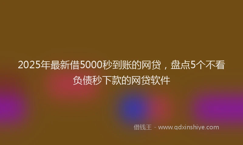2025年最新借5000秒到账的网贷，盘点5个不看负债秒下款的网贷软件
