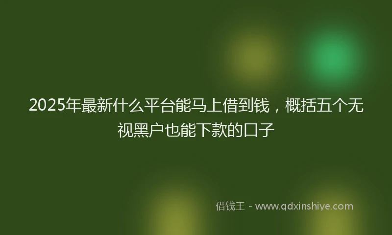 2025年最新什么平台能马上借到钱，概括五个无视黑户也能下款的口子