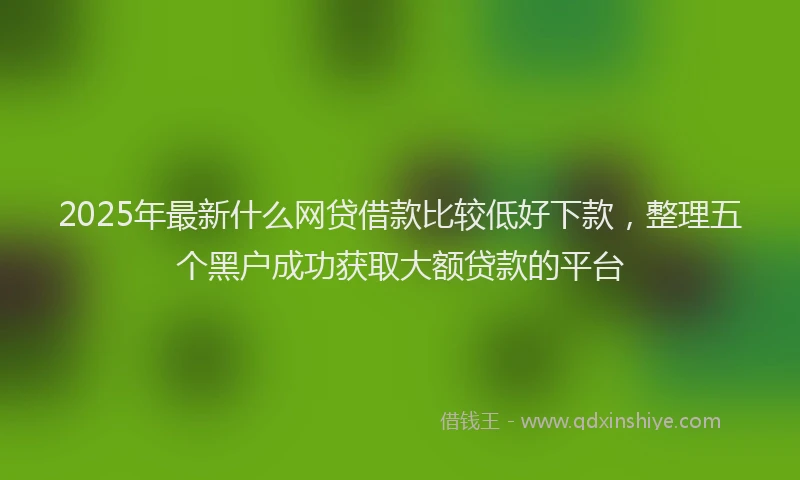 2025年最新什么网贷借款比较低好下款，整理五个黑户成功获取大额贷款的平台