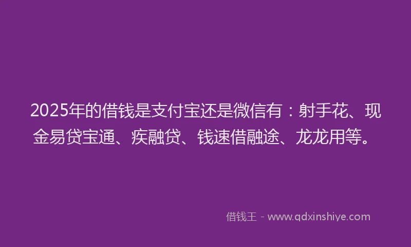 2025年的借钱是支付宝还是微信有：射手花、现金易贷宝通、疾融贷、钱速借融途、龙龙用等。