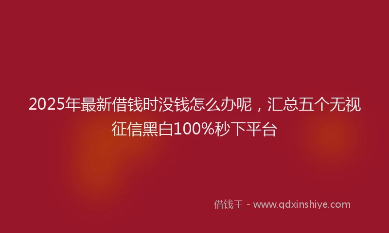 2025年最新借钱时没钱怎么办呢，汇总五个无视征信黑白100%秒下平台