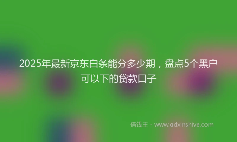 2025年最新京东白条能分多少期，盘点5个黑户可以下的贷款口子