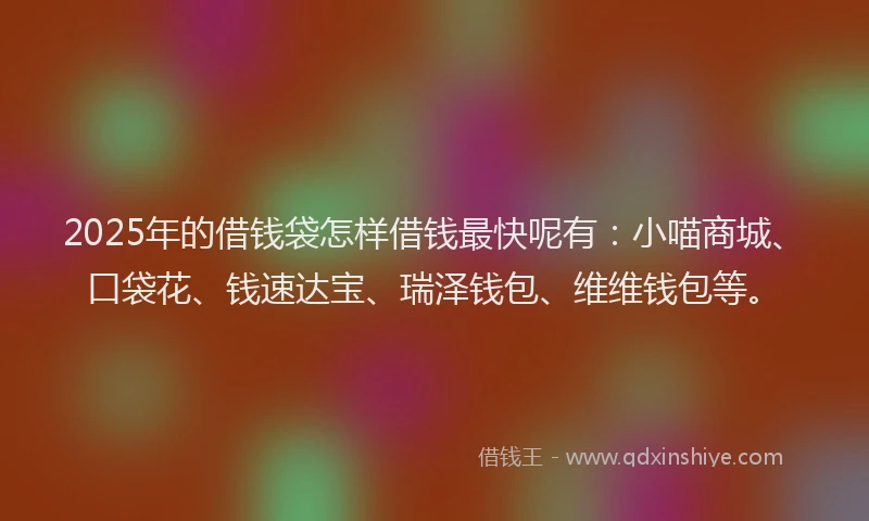 2025年的借钱袋怎样借钱最快呢有：小喵商城、口袋花、钱速达宝、瑞泽钱包、维维钱包等。