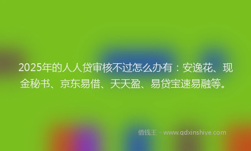 2025年的人人贷审核不过怎么办有：安逸花、现金秘书、京东易借、天天盈、易贷宝速易融等。