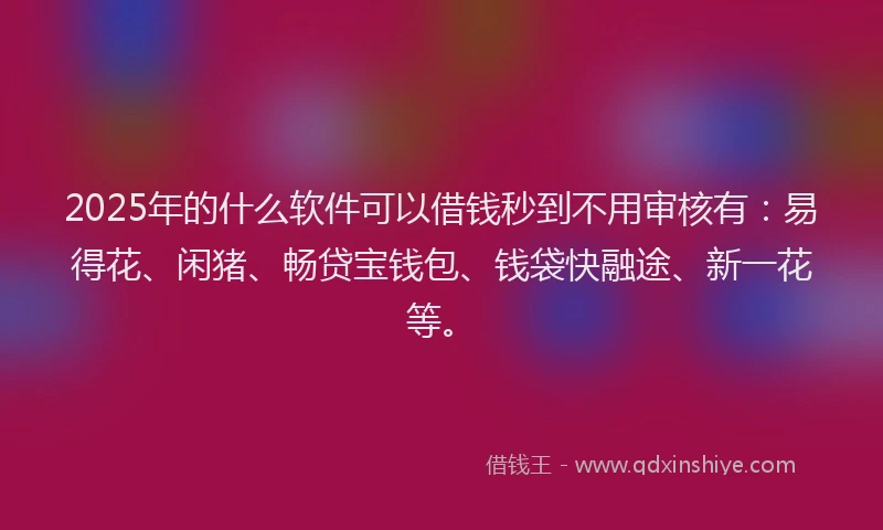 2025年的什么软件可以借钱秒到不用审核有：易得花、闲猪、畅贷宝钱包、钱袋快融途、新一花等。