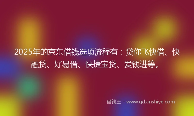 2025年的京东借钱选项流程有：贷你飞快借、快融贷、好易借、快捷宝贷、爱钱进等。