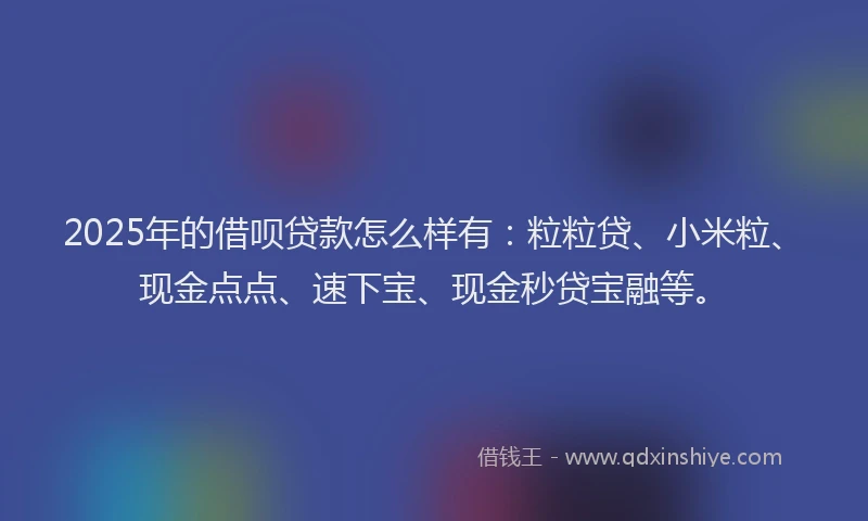 2025年的借呗贷款怎么样有：粒粒贷、小米粒、现金点点、速下宝、现金秒贷宝融等。