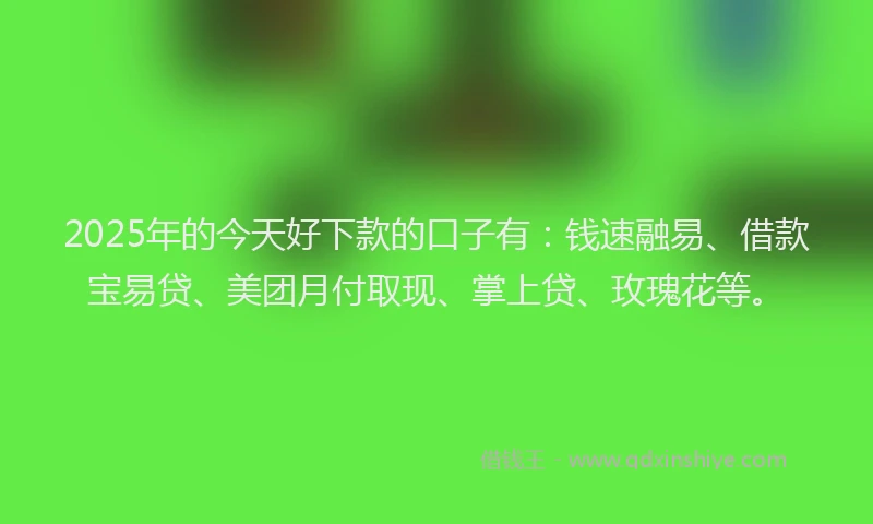 2025年的今天好下款的口子有：钱速融易、借款宝易贷、美团月付取现、掌上贷、玫瑰花等。