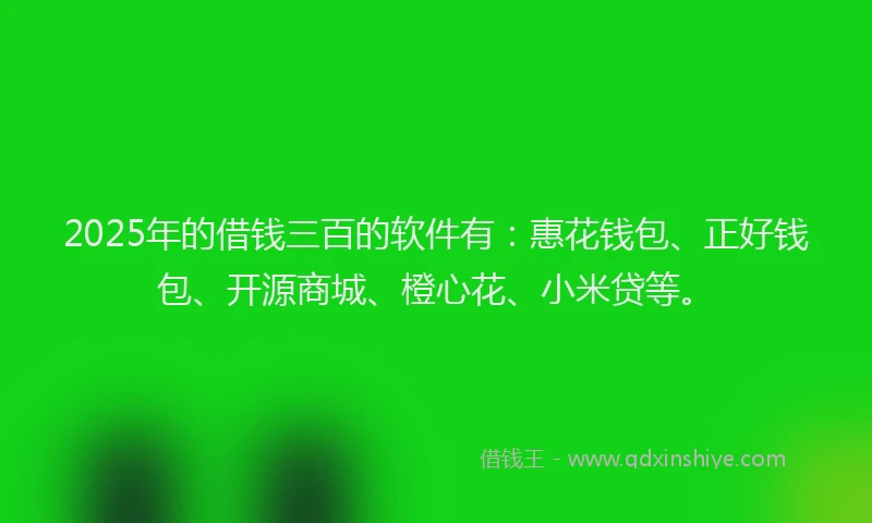 2025年的借钱三百的软件有：惠花钱包、正好钱包、开源商城、橙心花、小米贷等。