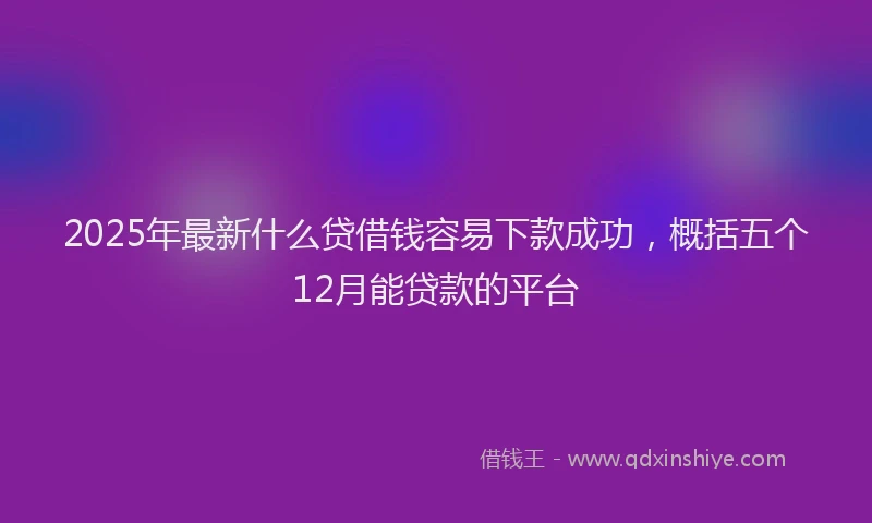 2025年最新什么贷借钱容易下款成功，概括五个12月能贷款的平台