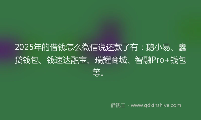 2025年的借钱怎么微信说还款了有：鹅小易、鑫贷钱包、钱速达融宝、瑞耀商城、智融Pro+钱包等。