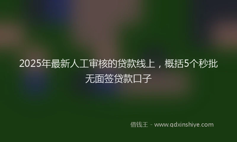 2025年最新人工审核的贷款线上，概括5个秒批无面签贷款口子