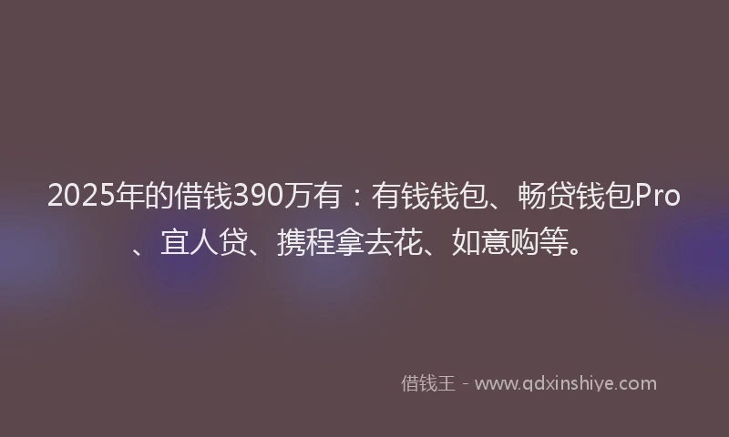 2025年的借钱390万有：有钱钱包、畅贷钱包Pro、宜人贷、携程拿去花、如意购等。