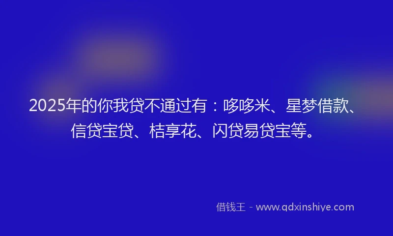 2025年的你我贷不通过有：哆哆米、星梦借款、信贷宝贷、桔享花、闪贷易贷宝等。