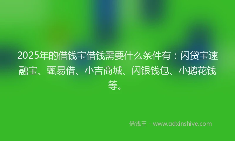2025年的借钱宝借钱需要什么条件有：闪贷宝速融宝、甄易借、小吉商城、闪银钱包、小鹅花钱等。