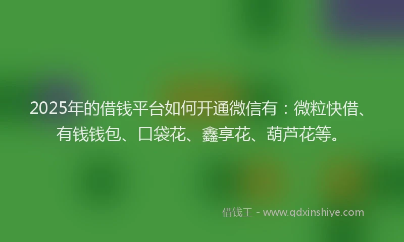 2025年的借钱平台如何开通微信有：微粒快借、有钱钱包、口袋花、鑫享花、葫芦花等。