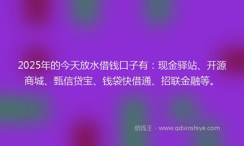 2025年的今天放水借钱口子有：现金驿站、开源商城、甄信贷宝、钱袋快借通、招联金融等。