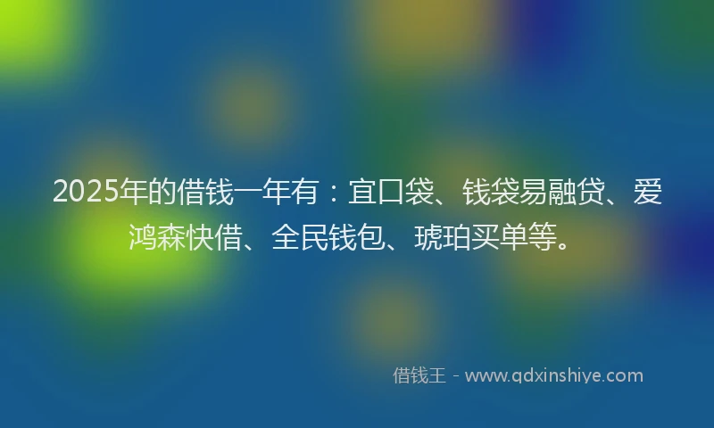 2025年的借钱一年有：宜口袋、钱袋易融贷、爱鸿森快借、全民钱包、琥珀买单等。